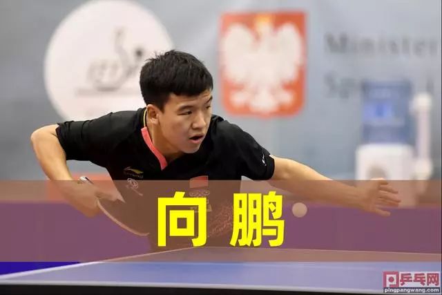 表团通常会 表团通常会