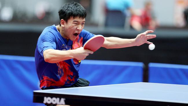 适应能力也 适应能力也